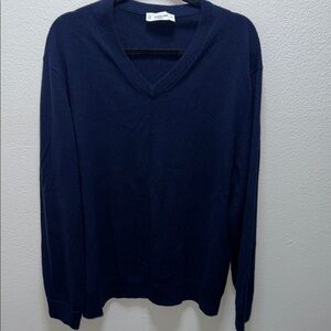 Everlane 100% Cashmere Navy V-Neck Sweater